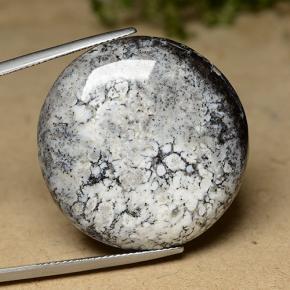 44.26 ct Multicolor Dendritic Agate Gemstone, Dendritic Agate Gem in Round Cabochon Shape for Sale.