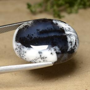 Dendritic Agate Gemstone in 26.2 x 21.7 mm Size for Sale, Dendritic Agate Stone in Multicolor Color