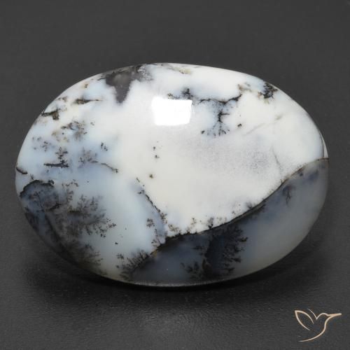 11.2 ct Oval Dendritic Agate, 22.4 x 16 mm From India, Photo A