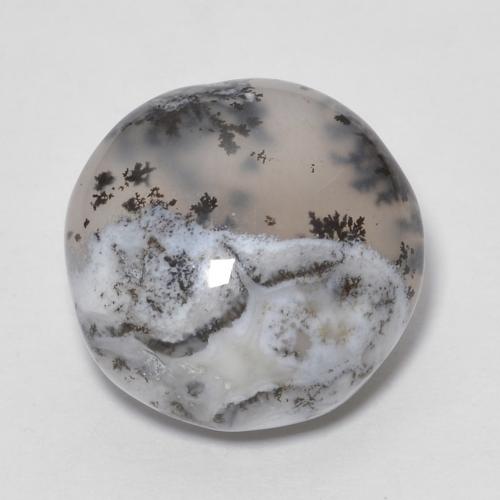 7,13 ct runder mehrfarbiger Dendritischer-Achat aus Indien, Größe 13,3mm, Garantiert natürlicher Edelstein, Translucent Reinheit, 1 Stück Dendritischer-Achat in Mehrfarbig Farbe, Mohs-Härte von 6,5 - 7 Geeignet für den täglichen Gebrauch im Schmuck, Photo A