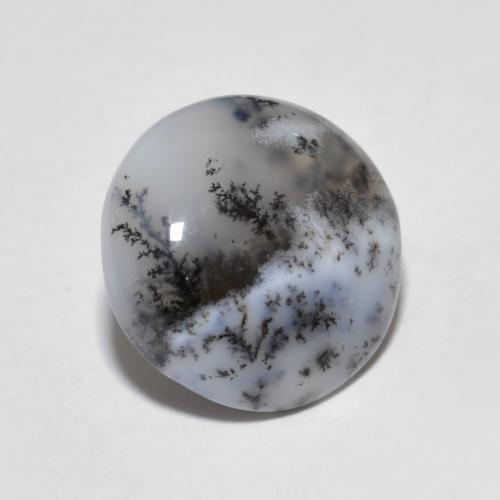 12mm Agata dendritica multicolore Cabochon rotondo dall'India, peso di 3,97 ct, pietra preziosa naturale non trattati in purezza Translucent, Agata dendritica 1pz - il colore è Multicolore, durezza Mohs di 6,5 - 7 adatto per gioielli da indossare ogni giorno, Photo A