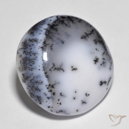 14.83 ct Multicolor Dendritic Agate Stone, Natural Dendritic Agate in Round Cabochon Shape for Sale