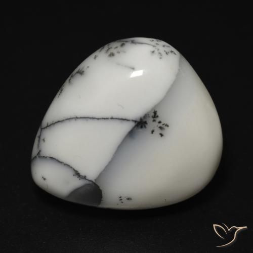 12.06 ct Pear Dendritic Agate, 17.1 x 15.5 mm From India, Photo A