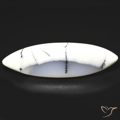 19.93 ct White Dendritic Agate Stone, Natural Dendritic Agate in Marquise Cabochon Shape for Sale