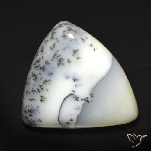 12.51 ct Trillion Dendritic Agate, 18.7 x 16.9 mm From India, Photo A