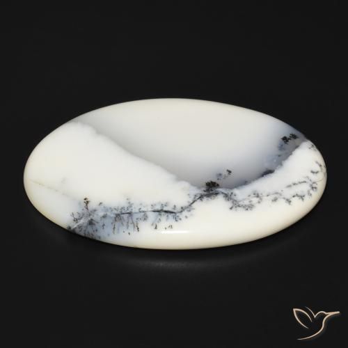 Dendritic Agate Gemstone in 48.4 x 34.3 mm Size for Sale, Dendritic Agate Stone in White with Black Color