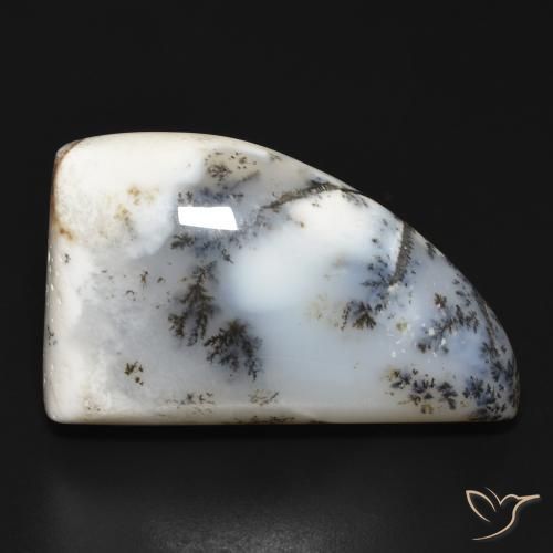 33.6 ct Fancy Dendritic Agate, 28.3 x 17.4 mm From India, Photo A