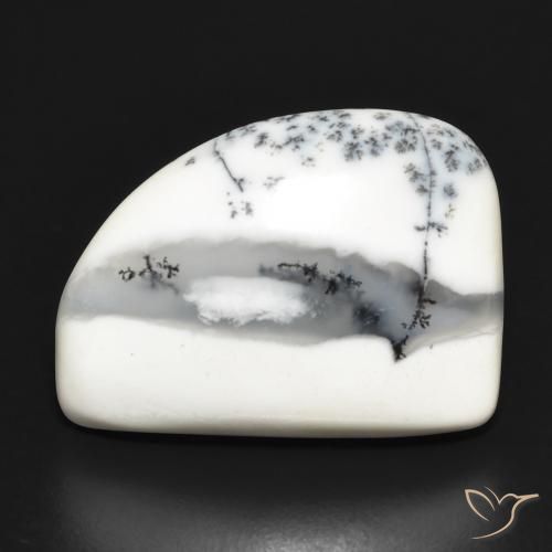 13.11 ct Fancy Dendritic Agate, 20.4 x 15.1 mm From India, Photo A
