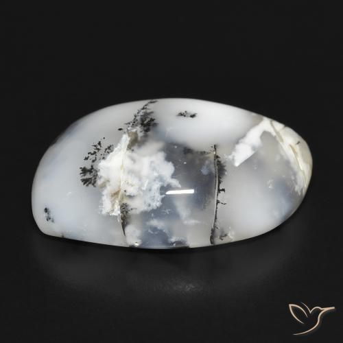 Dendritic Agate Gemstone in 22.1 x 14.9 mm Size for Sale, Dendritic Agate Stone in White with Black Color