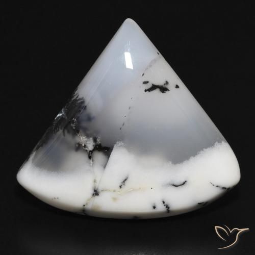 17.43 ct Trillion Dendritic Agate, 24 x 21.5 mm From India, Photo A