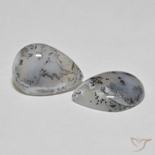 16.57 ctw White Dendritic Agate Stones, Natural Dendritic Agate in Pear Cabochon Shape for Sale