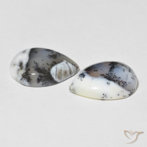 Dendritic Agate Gemstones in 20 x 15 mm (calibrated) Size for Sale, Dendritic Agate Stones in Multicolor White Color