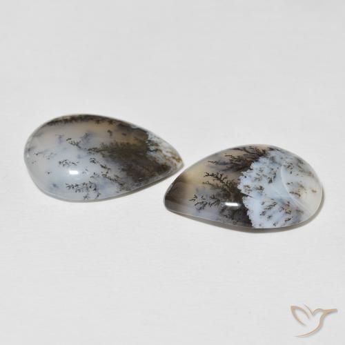 Dendritic Agate Gemstones in 20 x 15 mm (calibrated) Size for Sale, Dendritic Agate Stones in Multicolor White Color