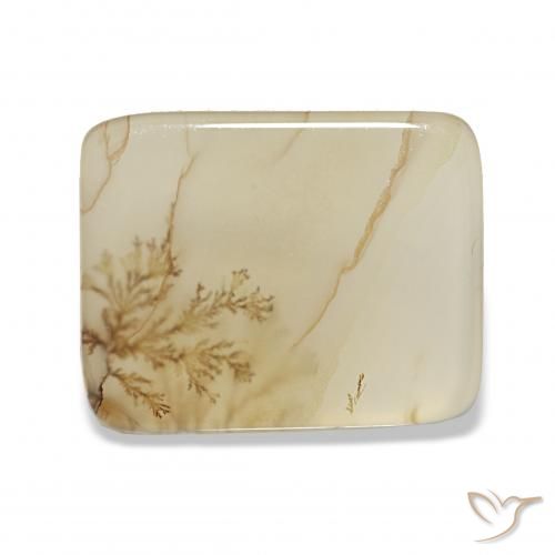4.40ct Multicolor Dendritic Agate, Cushion, Transparent
