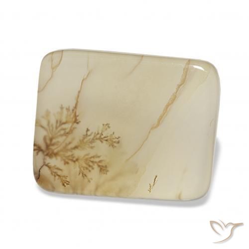 4.40 ct Multicolor Dendritic Agate Stone, Natural Dendritic Agate in Cushion Cabochon Shape for Sale