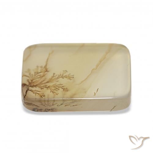 Dendritic Agate Gemstone in 13.5 x 10.8 mm Size for Sale, Dendritic Agate Stone in Multicolor Color