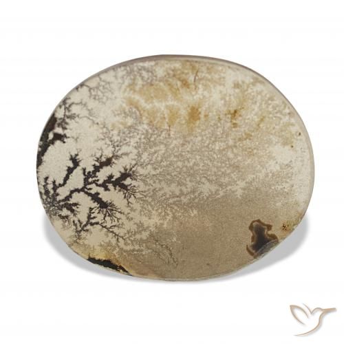 3.38ct Multicolor Dendritic Agate, Oval, Transparent