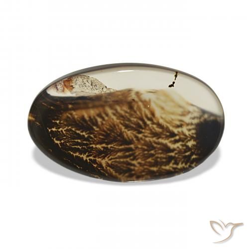 4.17ct Multicolor Dendritic Agate, Oval, Transparent