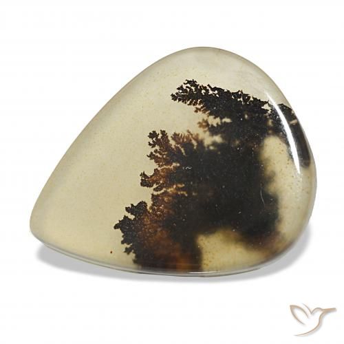 4.62ct Multicolor Dendritic Agate, Pear Shape, Transparent