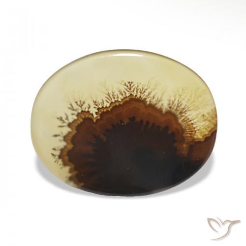 2.46ct Multicolor Dendritic Agate, Oval, Transparent