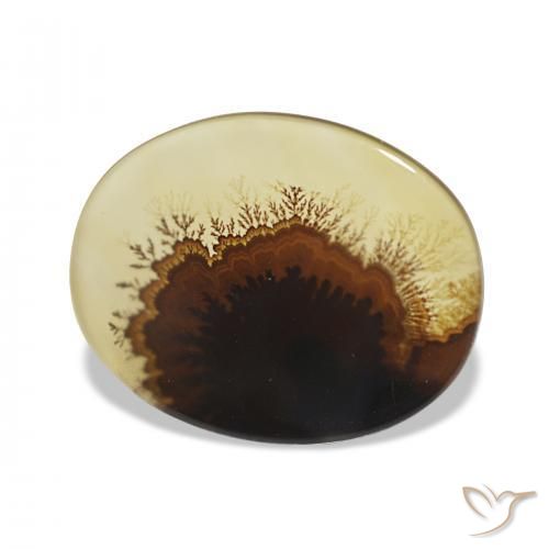 2.46 ct Multicolor Dendritic Agate Stone, Natural Dendritic Agate in Oval Cabochon Shape for Sale