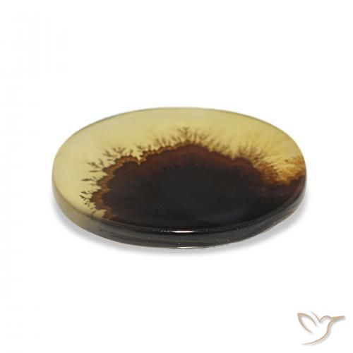 Dendritic Agate Gemstone in 14.6 x 11.6 mm Size for Sale, Dendritic Agate Stone in Multicolor Color