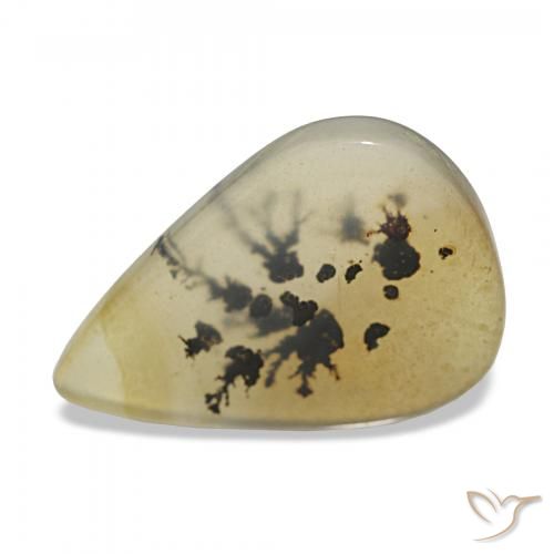 5.37 ct Multicolor Dendritic Agate Gemstone, Dendritic Agate Gem in Pear Cabochon Shape for Sale.