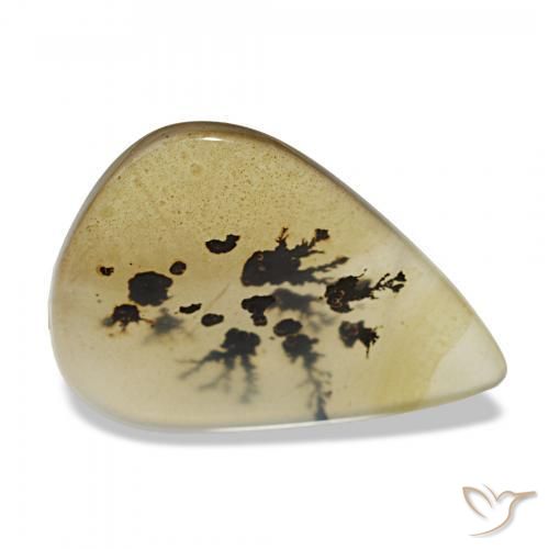 5.37 ct Multicolor Dendritic Agate Stone, Natural Dendritic Agate in Pear Cabochon Shape for Sale