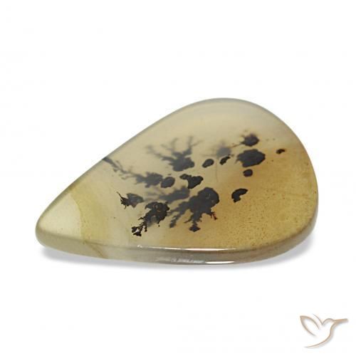 Dendritic Agate Gemstone in 19.6 x 14.2 mm Size for Sale, Dendritic Agate Stone in Multicolor Color