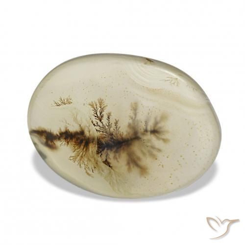 4.44 ct Multicolor Dendritic Agate Stone, Natural Dendritic Agate in Oval Cabochon Shape for Sale