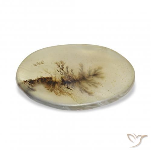Dendritic Agate Gemstone in 18.3 x 13.9 mm Size for Sale, Dendritic Agate Stone in Multicolor Color