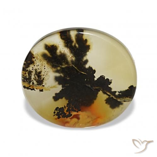 4.85ct Natural Multicolor Dendritic Agate, Oval, Transparent, Photo A