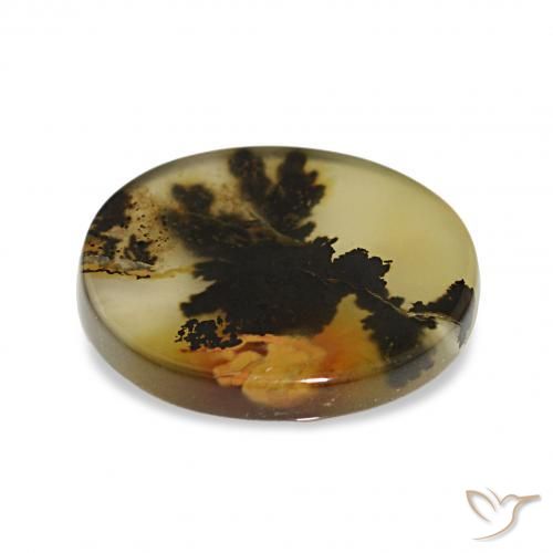 Dendritic Agate Gemstone in 15 x 13.2 mm Size for Sale, Dendritic Agate Stone in Multicolor Color