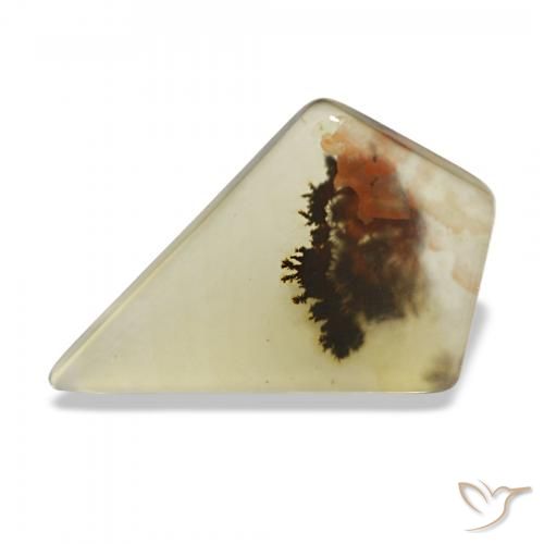 4.47 ct Multicolor Dendritic Agate Gemstone, Dendritic Agate Gem in Rhomb Cabochon Shape for Sale.