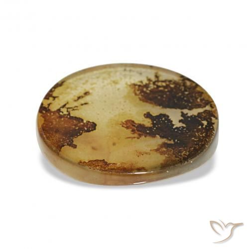 Dendritic Agate Gemstone in 15.6 x 14.1 mm Size for Sale, Dendritic Agate Stone in Multicolor Color