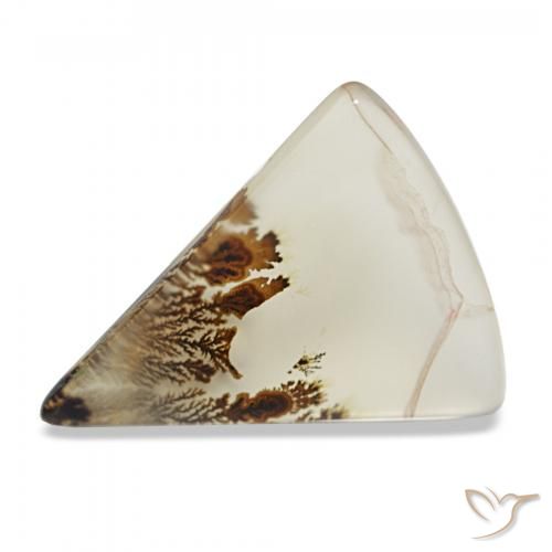4.03 ct Multicolor Dendritic Agate Gemstone, Dendritic Agate Gem in Trillion Cabochon Shape for Sale.