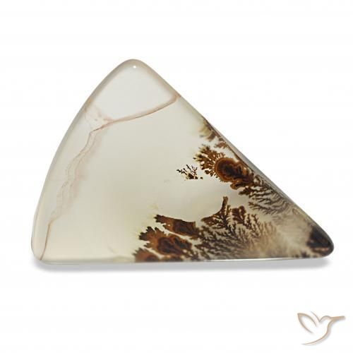 4.03 ct Multicolor Dendritic Agate Stone, Natural Dendritic Agate in Trillion Cabochon Shape for Sale
