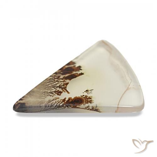 Dendritic Agate Gemstone in 19.1 x 15.5 mm Size for Sale, Dendritic Agate Stone in Multicolor Color