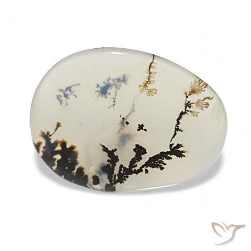 2.42 ct Multicolor Dendritic Agate Gemstone, Dendritic Agate Gem in Oval Cabochon Shape for Sale.