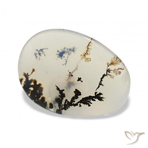 2.42 ct Multicolor Dendritic Agate Stone, Natural Dendritic Agate in Oval Cabochon Shape for Sale