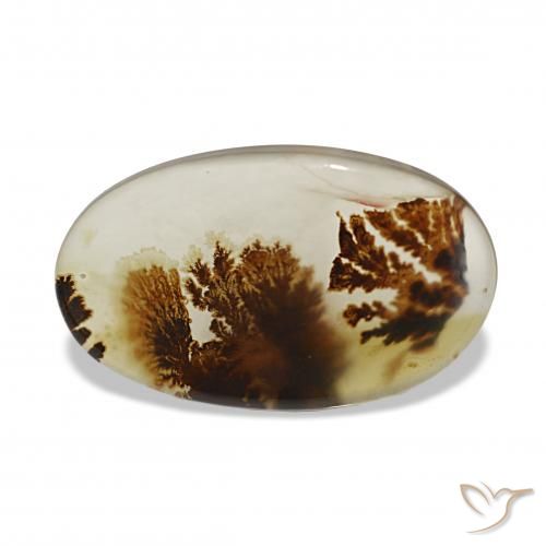 6.55 ct Multicolor Dendritic Agate Gemstone, Dendritic Agate Gem in Oval Cabochon Shape for Sale.