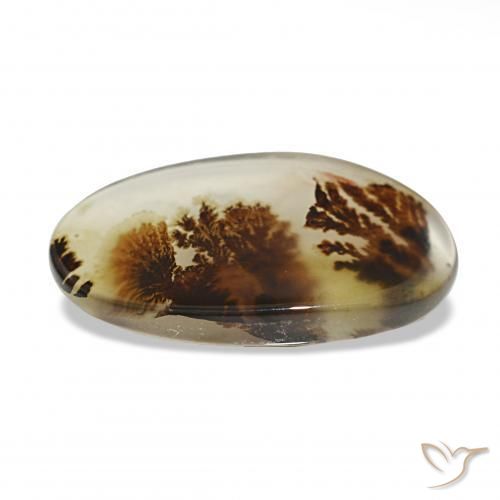 Dendritic Agate Gemstone in 20.9 x 12.6 mm Size for Sale, Dendritic Agate Stone in Multicolor Color