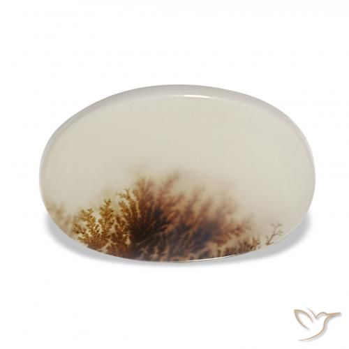 3.85 ct Multicolor Dendritic Agate Gemstone, Dendritic Agate Gem in Oval Cabochon Shape for Sale.
