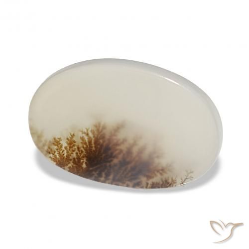 3.85 ct Multicolor Dendritic Agate Stone, Natural Dendritic Agate in Oval Cabochon Shape for Sale