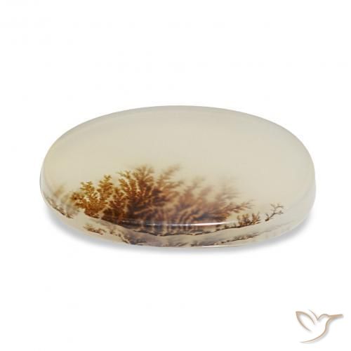 Dendritic Agate Gemstone in 16.3 x 10.8 mm Size for Sale, Dendritic Agate Stone in Multicolor Color