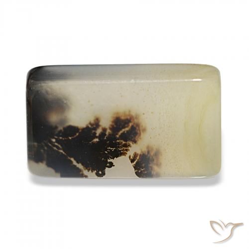 5.54 ct Multicolor Dendritic Agate Gemstone, Dendritic Agate Gem in Baguette Cabochon Shape for Sale.