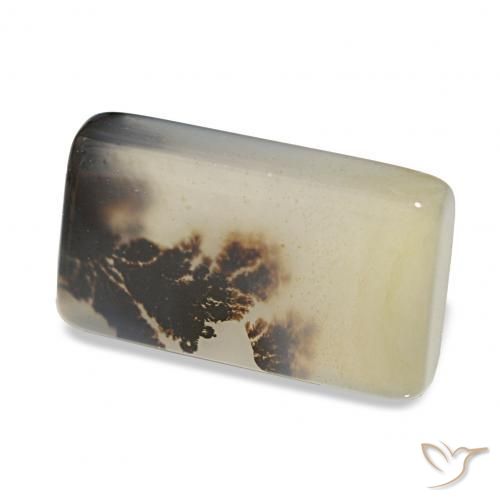 5.54 ct Multicolor Dendritic Agate Stone, Natural Dendritic Agate in Baguette Cabochon Shape for Sale
