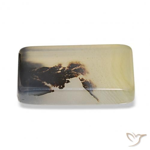 Dendritic Agate Gemstone in 15.4 x 8.9 mm Size for Sale, Dendritic Agate Stone in Multicolor Color