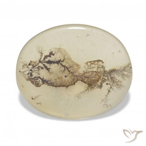 6.36 ct Multicolor Dendritic Agate Gemstone, Dendritic Agate Gem in Oval Cabochon Shape for Sale.