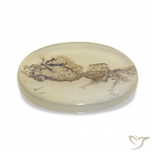 Dendritic Agate Gemstone in 18.2 x 14.9 mm Size for Sale, Dendritic Agate Stone in Multicolor Color